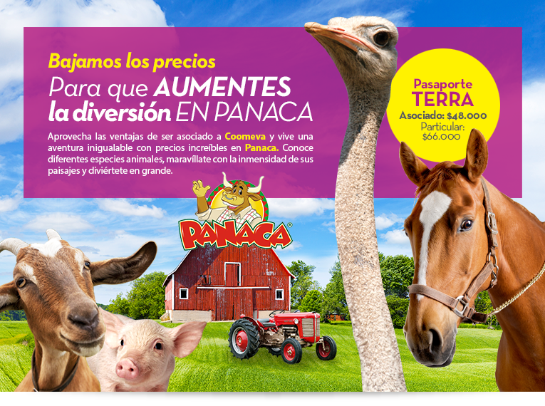 Bajamos los precios Para que Aumentes la diversi�n en  Panaca