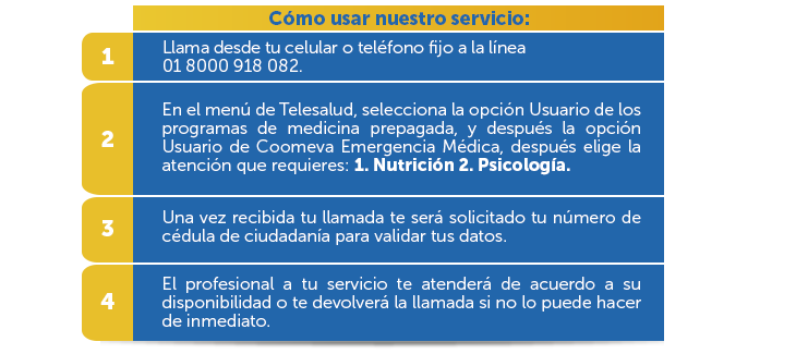 C�mo usar nuestro servicio:
