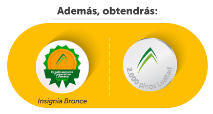 Además, obtendrás: Además, obtendrás: